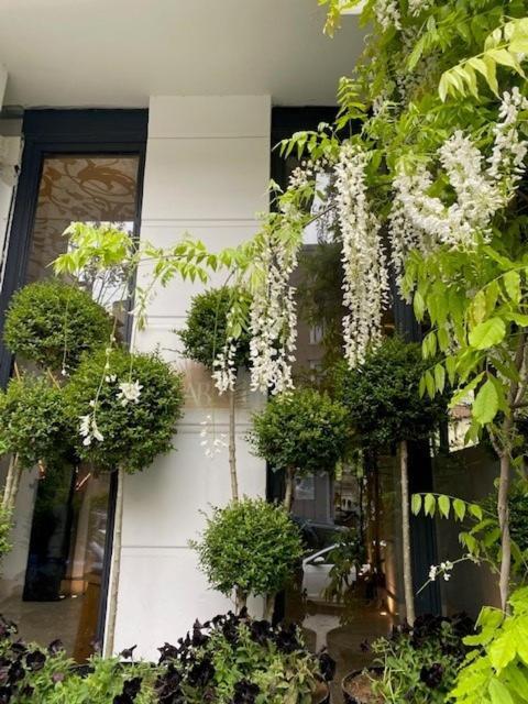 Ab Residences -cihangir Luxury Antique Apartament